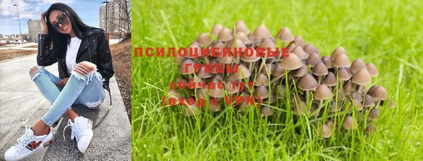 прущая мука Заводоуковск