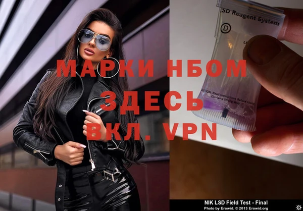 молекула духа Ельня